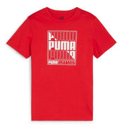 Camiseta Graphics Puma Wordin PUMA