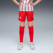 Gfc Shorts Replica J PUMA