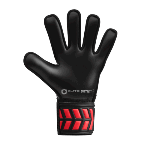 Elite Spider ELITESPORT