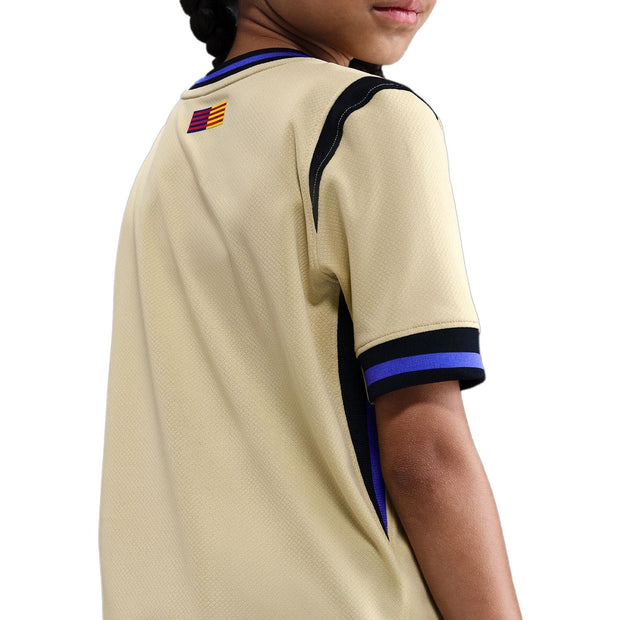 Fc Barcelona 2025/26 Stadium Away B NIKE