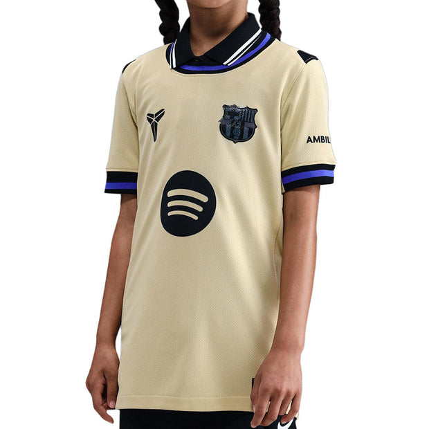Fc Barcelona 2025/26 Stadium Away B NIKE