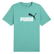 Camiseta Puma Ess 2 Color No. 1 Lo,Spring Fern Hombre PUMA