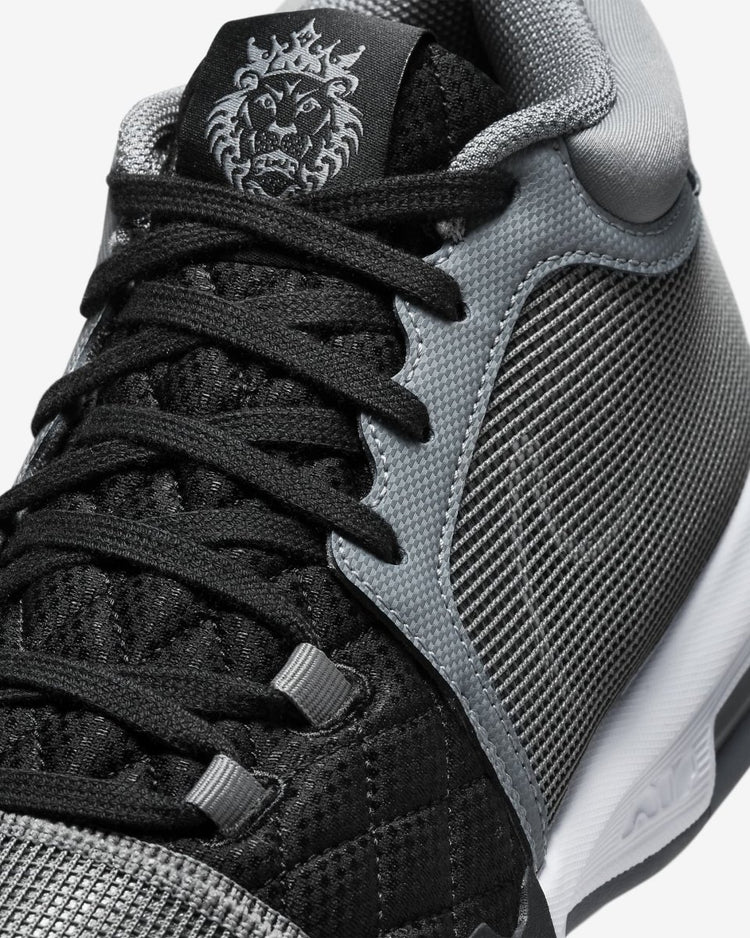 Zapatillas Nike Lebron Witness Hombre – Esports Parra