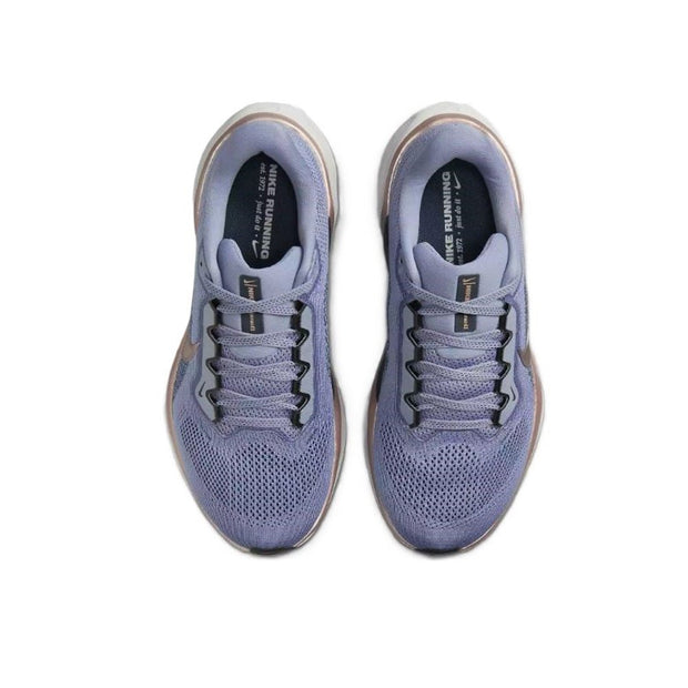 Zapatillas Nike Pegasus 41 Women&